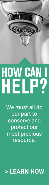 How Can I Help? Widget