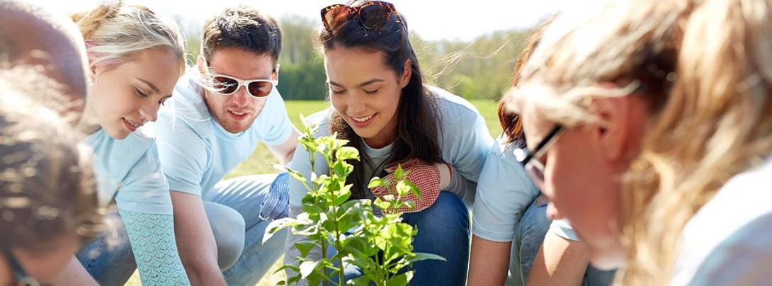 Volunteer Earth Day & Every Day