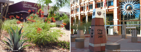 Avondale and Phoenix City Halls