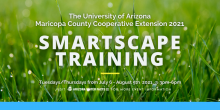 Smartscape Training Session
